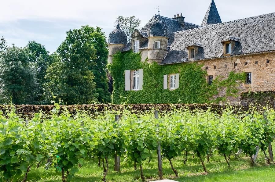 Château de Labro - Salle de réception